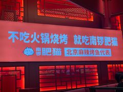 -南锣肥猫·麻辣烤鱼·16年现烤现卖(财富购物中心店)