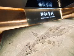 -贵州省地质博物馆