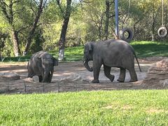 -北京野生动物园