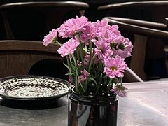 -Apollo·西班牙小酒馆(安福路店)