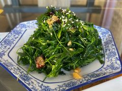 凉拌苜蓿-壹阁胡羊焖饼(敦煌夜市店)
