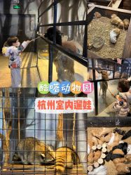 -酷嗒动物文化乐园(cutezoo西溪乐天城店)