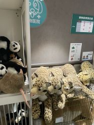 -奈尔宝家庭中心·亲子餐厅(华采天地店)