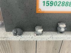 -半岛宠物医院24小时(白果林店)