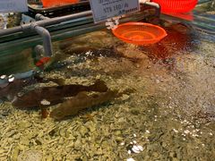 -海九澎湖海鲜餐厅