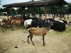 -西安秦岭野生动物园