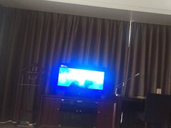 -合肥丰大国际大酒店