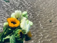 -刘家湾赶海园