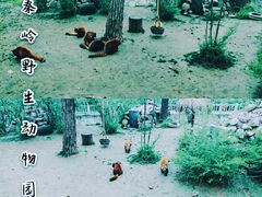 -西安秦岭野生动物园