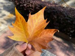 -紫金山索道-售票处