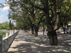 -广西大学(大学东路校区)