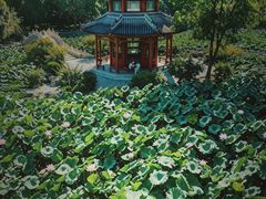 -莲池书院博物馆