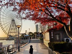 -蠡湖大桥公园