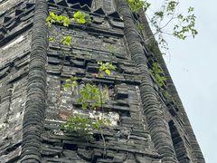 -上海佘山国家森林公园天马山园