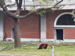 -哈尔滨北方森林动物园