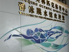 -重庆市奥林匹克体育中心-游泳跳水馆