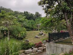 -火炉山森林公园