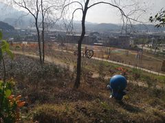-梁野山景区