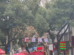 -军子大排档(迎春花园店)