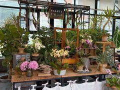 -北马山庄植趣咖啡