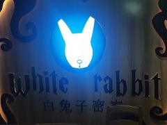-白兔子密室(长寿路店)