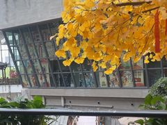 -阿大排档(长春这有山店)