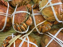 -蟹天蟹地农家菜·阳澄湖大闸蟹(浅水湾店)