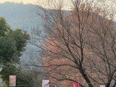 -新万鑫银丝面·非遗无锡味(惠山古镇店)