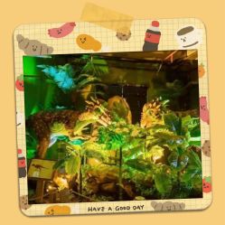 -恐龙探索乐园(磁器口店)