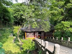 -雨花胜境