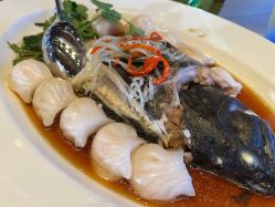 -上海金茂君悦大酒店·宴会厅