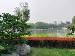 -丰台花园