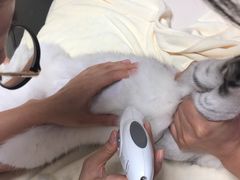 -谐和贝康宠物医院24小时·宠保定点(急重症转诊中心)