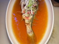 -桂满陇天书(南京德基旗舰店)