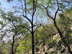 -泰山风景名胜区