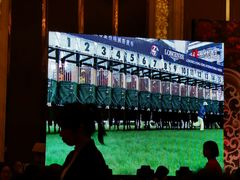 -宁波华侨温德姆至尊豪廷大酒店·多丽美食屋