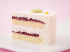 -蒲公英(五里店)