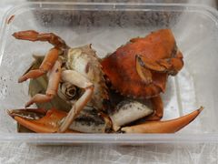 -莲花公园煎蟹(总店)