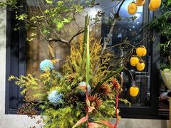 -溪岸路花鸟市场