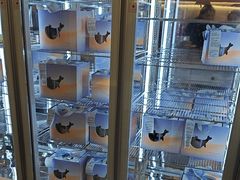 -山与蓝·轻糖鲜果蛋糕(勒泰店)