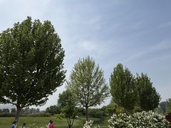 -圣露庄园·露营·烤肉·亲子