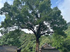 -五泄景区