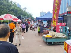 -东戴河风景区