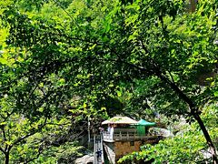 -洛阳白云山景区