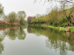 -新江湾城公园