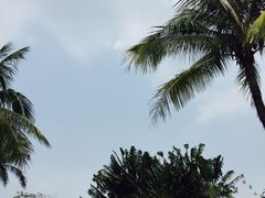 -白沙门生态公园