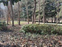-郑州植物园