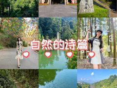 -广州市帽峰山景区