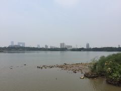 -海珠湖公园