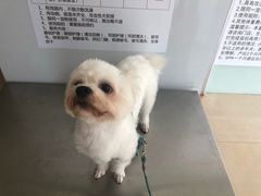-佳雯宠物医院(信河分店)